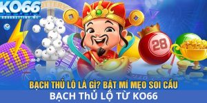 Bạch Thủ Lô Là Gì? Bật Mí Mẹo Soi Cầu Bạch Thủ Lô Từ KO66