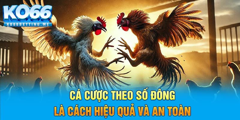 Cá cược theo số đông là cách hiệu quả và an toàn